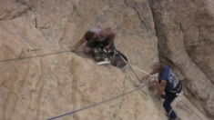 Un sauvetage risqué sur une falaise : des propriétaires demandent de l’aide après avoir retrouvé leur husky en situation de danger