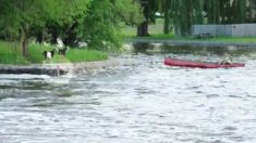 Le sauvetage d’une chèvre : un barman sauve l’animal en train de se noyer dans la rivière et retourne tout de suite au travail
