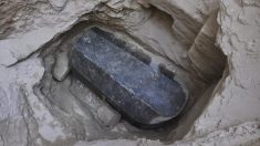 Alexandrie : un sarcophage de granit noir déterré, le plus gros jamais découvert