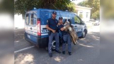 Gênes : un chien sauveteur en entraînement dans les environs a sauvé les premières vies