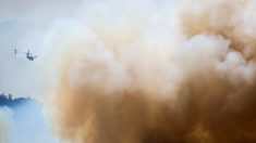 Des plages du sud du Portugal obscurcies par la fumée de l’incendie qui fait rage depuis 7 jours