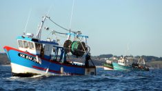 Coquilles Saint-Jacques : altercations en mer entre Français et Britanniques