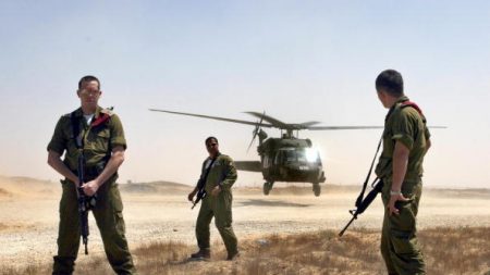 Sept hommes armés tués lors d’un raid aérien israélien en Syrie (armée israélienne)