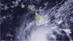 Hawaï se prépare au premier ouragan majeur en 26 ans