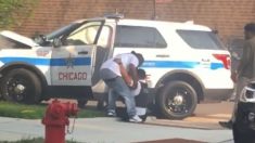 De bons samaritains : vidéo virale de citoyens qui aident un policier qui s’est écrasé à mi-course dans un arbre
