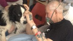 Un hôpital exauce le désir d’un homme mourant de voir son chien bien-aimé une fois de plus avant de mourir