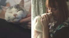 Un chat qui a sauvé sa propriétaire d’une mort imminente dans son sommeil, reçoit à titre posthume le prix national du Chat de l’année
