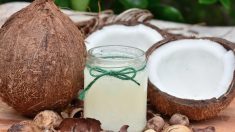 Selon une professeure de Harvard, l’huile de coco serait très néfaste pour la santé