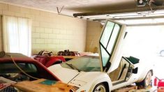 Une Lamborghini Countach de 1981 trouvée dans le garage d’une grand-mère