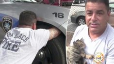 Un chaton errant pris au piège se retrouve à la maison pour toujours après que les pompiers l’aient sorti deux fois du moteur de la voiture