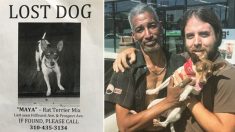 La bonne chose à faire : un sans-abri rend un chien perdu à son propriétaire légitime malgré son désir de le garder