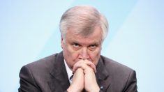 Allemagne : pour le ministre de l’Intérieur, l’immigration serait « la mère de tous les problèmes »