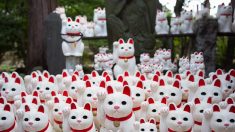 À Tokyo, un temple des chats porte-bonheur attire les instagrammeurs