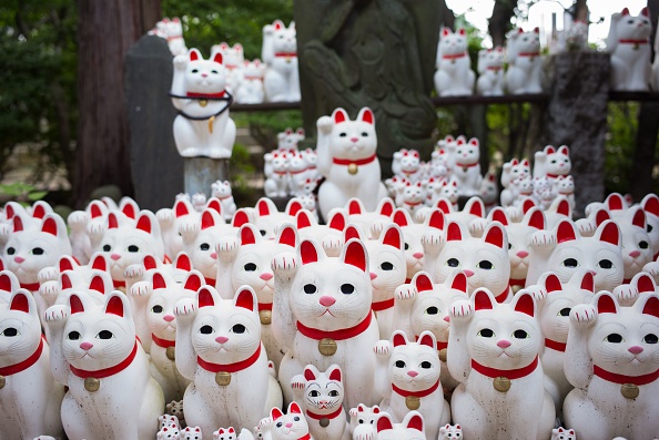 Ces chats sont baptisés "maneki-neko" au Japon, ils apportent la bonne fortune. (Photo : MARTIN BUREAU/AFP/Getty Images)
