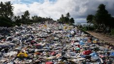 Le volume des déchets pourrait augmenter de 70% dans le monde d’ici 2050