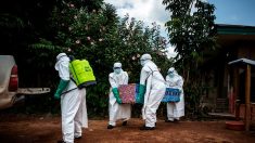 Ebola en RDC: l’OMS alerte sur une conjonction de facteurs menaçant la réponse humanitaire
