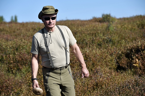Une photo prise le 26 août 2018 montre le président russe Vladimir Poutine en train de marcher en tenant un champignon pendant de courtes vacances dans la région reculée de Tuva, dans le sud de la Sibérie. (Photo : ALEXEY NIKOLSKY/AFP/Getty Images)