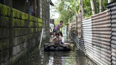 Le typhon Mangkhut sème le chaos à Hong Kong, 49 morts aux Philippines