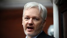 Disparition d’un co-fondateur de WikiLeaks