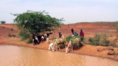 Niger: 67 personnes mortes du choléra 