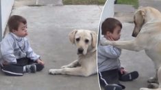 Un enfant trisomique refuse de jouer, alors son adorable chien « fait en sorte » de recevoir au moins un câlin