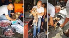 Un secouriste pour animaux sauve un chien emporté par un abattoir cambodgien