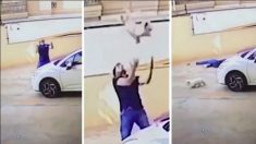 Un homme lève les yeux, voit un chien sur le point de tomber d’un balcon et se prépare à une prise épique