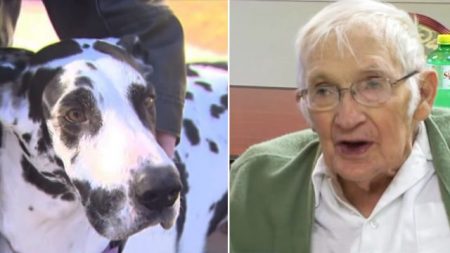 Un brave chien sauve la vie d’un homme de 89 ans qui venait de se fracturer la hanche – il était collé sur la glace à la suite d’une chute