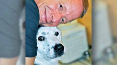 Un homme diabétique de 154 kg adopte un chien de refuge en surpoids et leur vie se transforme radicalement
