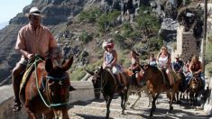 La Grèce interdit aux touristes « trop lourds » de monter à dos d’âne