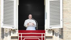Le pape compare l’avortement au recours à un « tueur à gages »