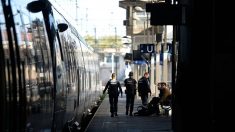 SNCF : les agents qui verbalisent le plus seront récompensés par des chèques-cadeaux