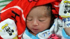 Indonésie: quatre bébés naissent dans un navire-hôpital après le séisme