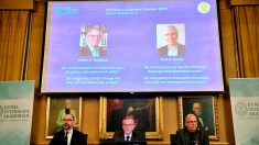 Le prix Nobel d’économie aux Américains William Nordhaus et Paul Romer