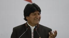 Accès à la mer: le Chili n’est pas tenu de négocier avec la Bolivie, selon la Cour internationale de justice