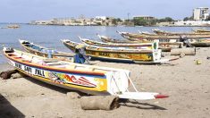 Sénégal: appel à renforcer la sécurité des pêcheurs après des « milliers » de disparus (Greenpeace)