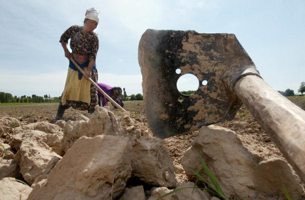 -Des paysans d’Ouzbékistan travaille la terre qui accueillera du coton dans leur champ. Photo : DENIS SINYAKOV / AFP / Getty Images.
