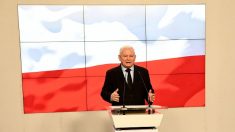 Elections locales en Pologne: les conservateurs en tête, mais perdent à Varsovie