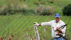 Italie : un terrain agricole offert aux familles ayant un 3e enfant