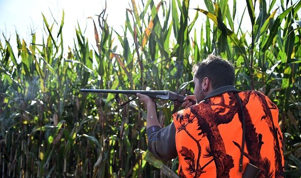 Des surfeurs pris pour cible : les chasseurs « ont tiré un faisan », assure le président de la société de chasse