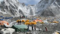 Des guides tentent de récupérer les corps des neuf alpinistes tués au Népal
