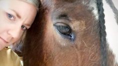 Avec un seul regard, un cheval secouru empêche une femme de se suicider