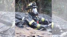 Un pompier intervenant dans un incendie de maison passe à l’action lorsque les cris d’un chaton sortent des décombres