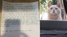 Une famille emménage dans une nouvelle maison et trouve une note inattendue de l’ancien propriétaire pour qu’ils s’occupent de son chat