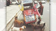 Un homme pauvre à Manille vend des « bric-à-brac » pour s’acheter de la nourriture et acheter des chiens de compagnie