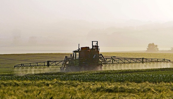Le glyphosate (Roundup), est l'un des herbicides les plus utilisés dans l'agriculture dans le monde. (Photo Pixabay)