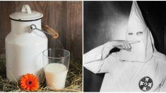 L’association Peta demande de ne plus boire de lait, boisson qui symboliserait le suprémacisme blanc