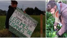 Bretagne : une agricultrice sommée de retirer un panneau indiquant l’adresse de sa ferme où elle fait de la vente directe
