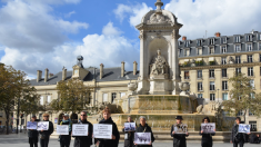 Le Conseil de Paris a acté la création d’une stèle en hommage aux animaux de guerre morts pour la France