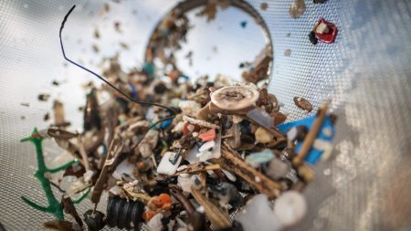 Des microplastiques trouvés pour la première fois dans la nourriture humaine